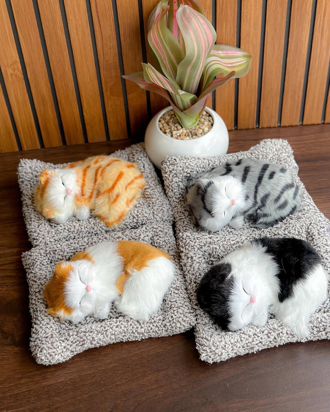 Sleeping Cat Plushie